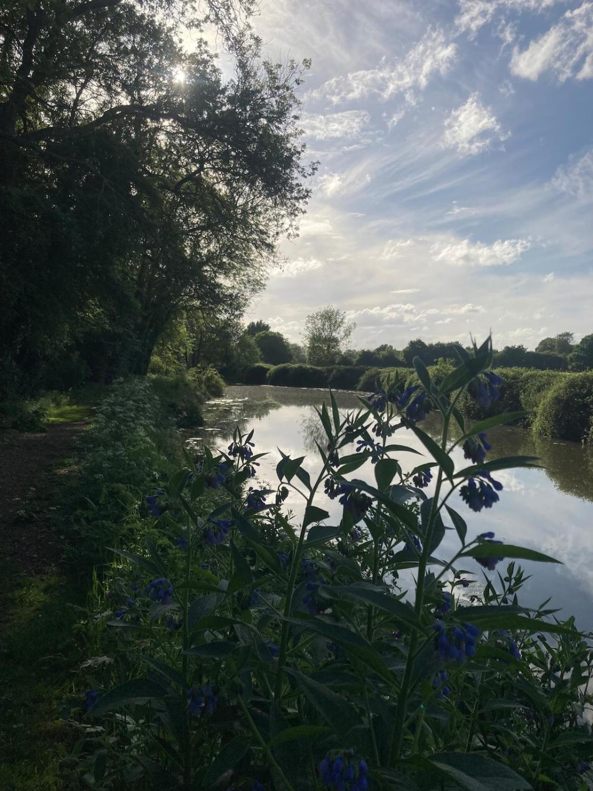 Dutch Cruiser Ship On A Tranquil Secluded River Tonbridge Exterior foto