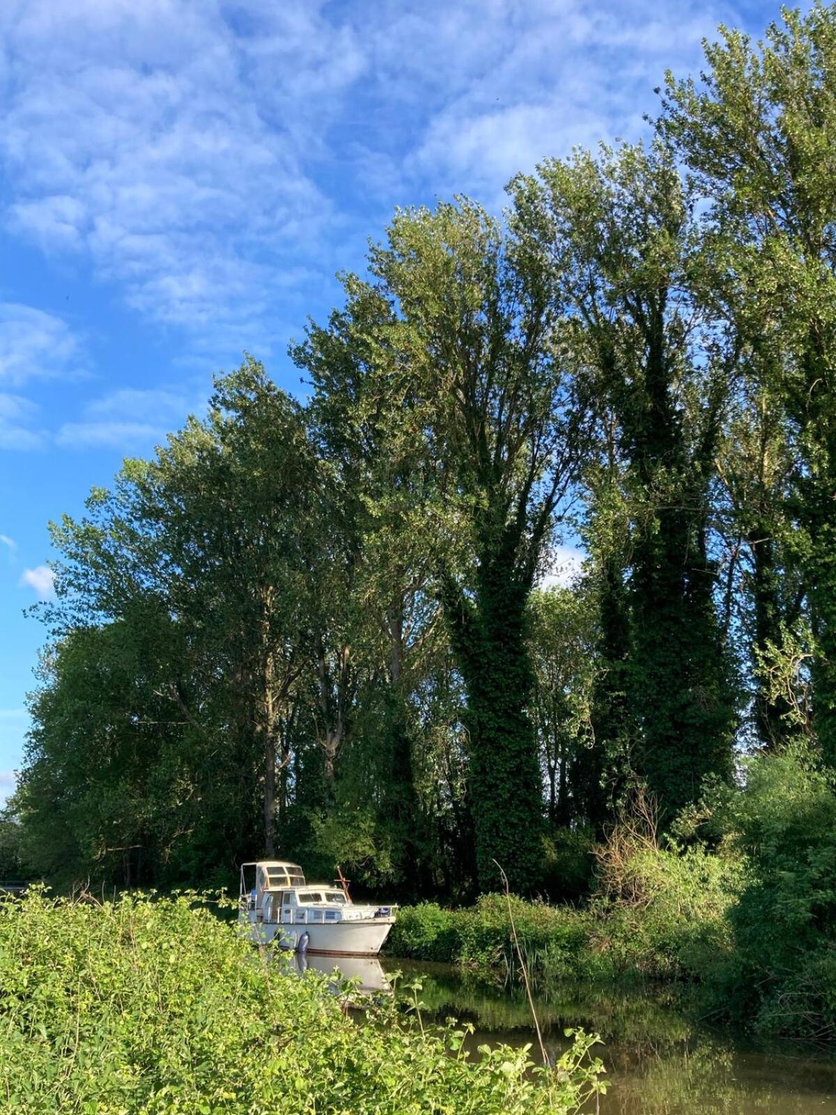 Dutch Cruiser Ship On A Tranquil Secluded River Tonbridge Exterior foto